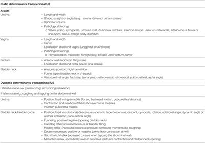 Static and Dynamic Ultrasound Imaging to Visualize the Bladder, Bladder Neck, Urethra, and Pelvic Floor in Children with Daytime Incontinence